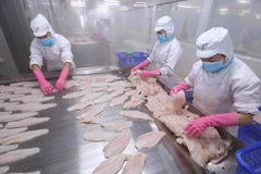 Japan among top 10 importers of Vietnam’s tra fish for first time