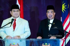 Malaysia, Indonesia step up defence cooperation 
