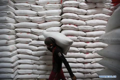 Myanmar to export 500 million USD worth of rice to China in 2019 