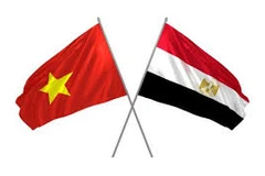 Vietnam, Egypt look to strengthen trade, investment connectivity