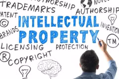 Workshop spotlights IP role in socio-economic development 