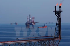 Vietsovpetro contributes more than 452 million USD to State budget