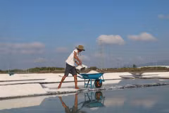 Salt farmers in Ba Ria-Vung Tau rejoice as sun beats down