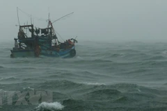 Vietnam calls for help to search for missing fishermen