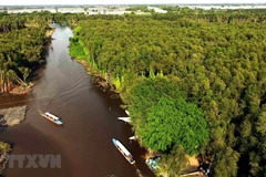 Action programme on sustainable development in Mekong Delta