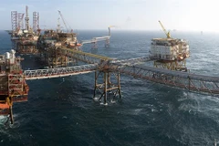 PetroVietnam targets adding up to 30 mln tonnes to oil reserves