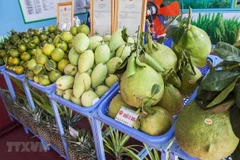 Tien Giang enjoys rising fruit exports