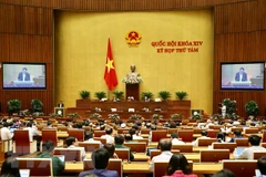 Legislators to discuss feasibility study report on Long Thanh airport