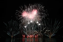 Finland wins Da Nang International Fireworks Festival 2019
