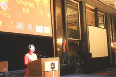 Vietnamese embassies celebrate upcoming Lunar New Year 