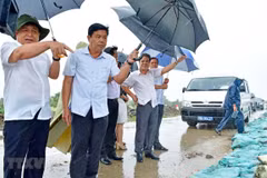 Ca Mau asked to work harder on coastal erosion prevention 