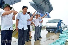 Ca Mau asked to work harder on coastal erosion prevention 