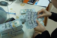 Public debt poses big risk to Vietnam