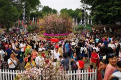 Japanese cherry blossom festival extended for one day