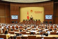 Lawmakers discuss improvement of personnel management