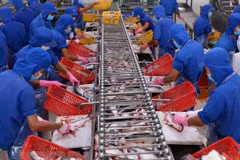 Export of aquatic products forecast to grow 8 percent in Q2