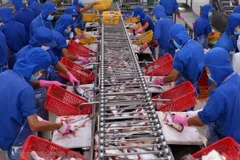 Export of aquatic products forecast to grow 8 percent in Q2