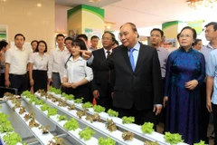 PM urges Hai Phong to take lead in agriculture modernisation