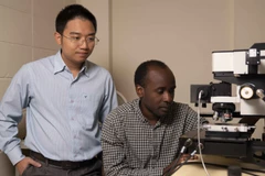 Vietnamese-led research team unlock potential of ultra-thin 2D materials