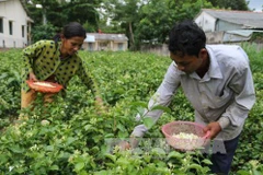 Tra Vinh province enhances poverty reduction work