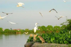 Hai Duong hopes to tap tourism potential of Thanh Mien district