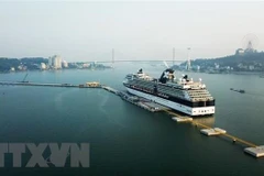 Ha Long city rises from services, tourism