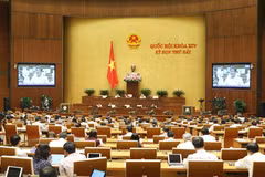 Three laws go through National Assembly on June 13 