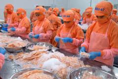 CPTPP – a driver of shrimp export to Canada
