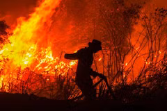Forest fires in Indonesia raise global warming concerns