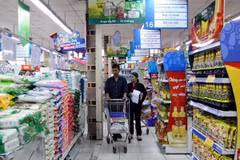 Vietnam advised to stimulate domestic consumption 