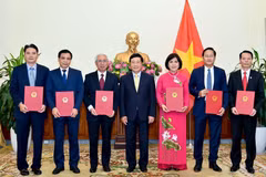 Six new ambassadors appointed