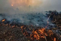 Indonesians’ life expectancy likely to fall due to haze from wildfires