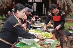 Central Highlands cuisine contest held in Dak Lak 