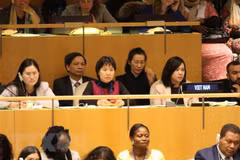 Vietnam facilitates women’s participation in socio-economic activities