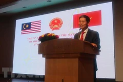 Vietnam visit by Malaysian PM promises practical outcomes: diplomat