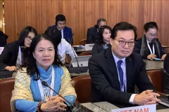Vietnamese Ambassador delivers speech at int’l Red Cross conference