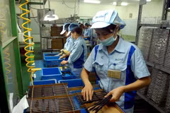 Laws to be revised to implement CPTPP