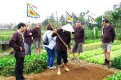 Hoi An gears up for tours to Tra Que vegetable village