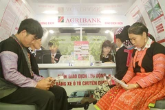 Gia Lai conference seeks to expand credit for production, consumption