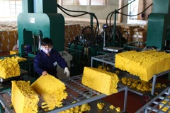Rubber industry enjoys good start in 2019