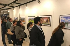 Vietnam hosts cultural days in Paraguay