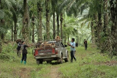 Thailand promotes southern economic development scheme