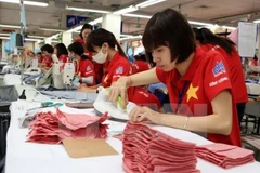 Revised Law on Enterprises to add household business regulations