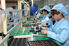 Bac Giang works to lure foreign direct investment