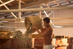 Exporting firms should focus on intellectual property