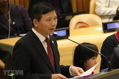 Vietnam introduces priorities during tenure in UN Security Council 