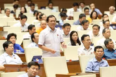 NA deputies vote on three laws, discuss two bills