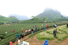 Planning scheme for Moc Chau national tourist site approved