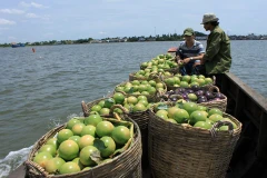 Vietnam’s exports to Thailand shoot up