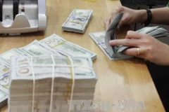 Market’s liquidity stays stable amidst exchange rate uptrend